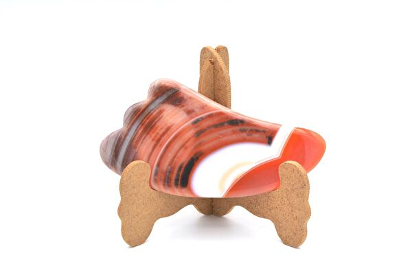 Murty99 Anti-Aging, Yaşlanma Karşıtı Ürünler