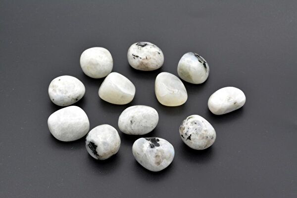 Murty99 Dekoratif Obje, Biblo, Figür