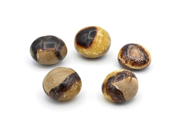 Murty99 Dekoratif Obje, Biblo, Figür