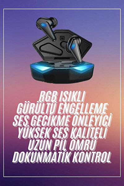 Erbar Bilgisayar Kulaklığı