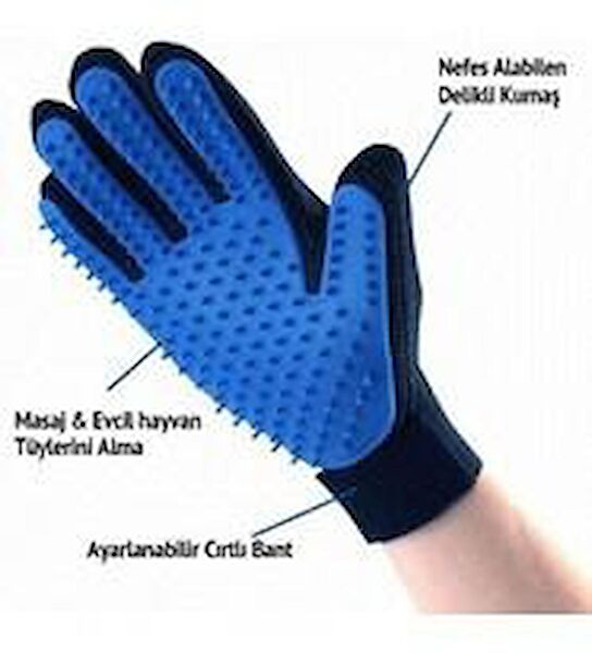 BSSM Kedi Tarak, Fırça, Makas