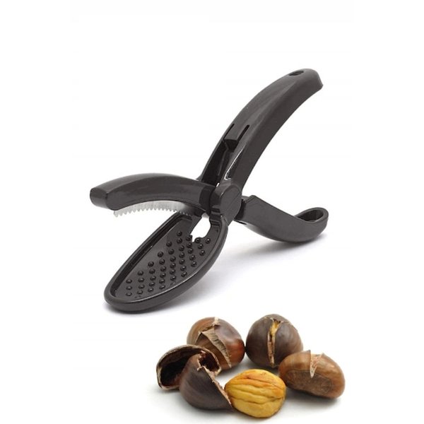 Eco Lounge Kestane Çizici