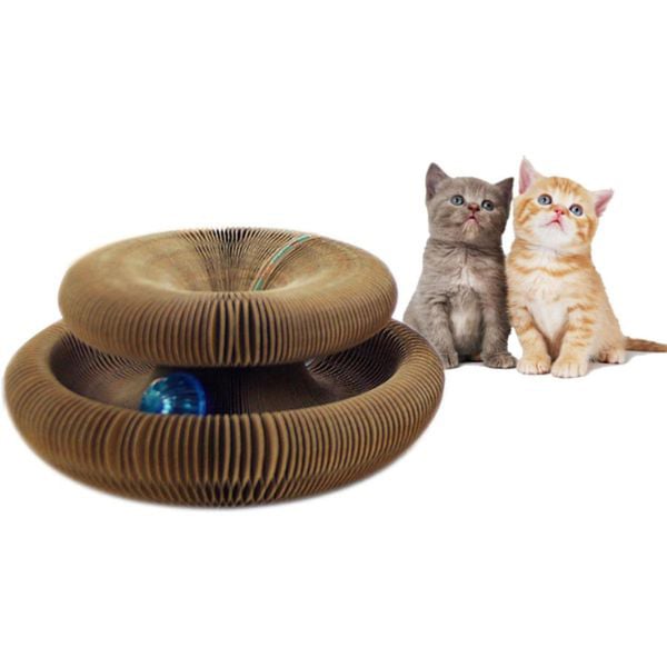 Masa Dostu Kedi Tırmalama