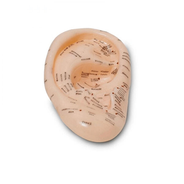 Mepa Hasta Banyo, Tuvalet Temizlik