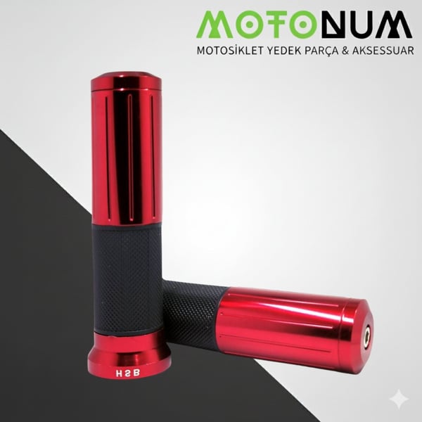 Motonum Elcik