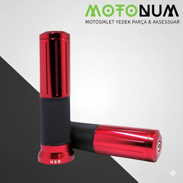 Motonum Elcik