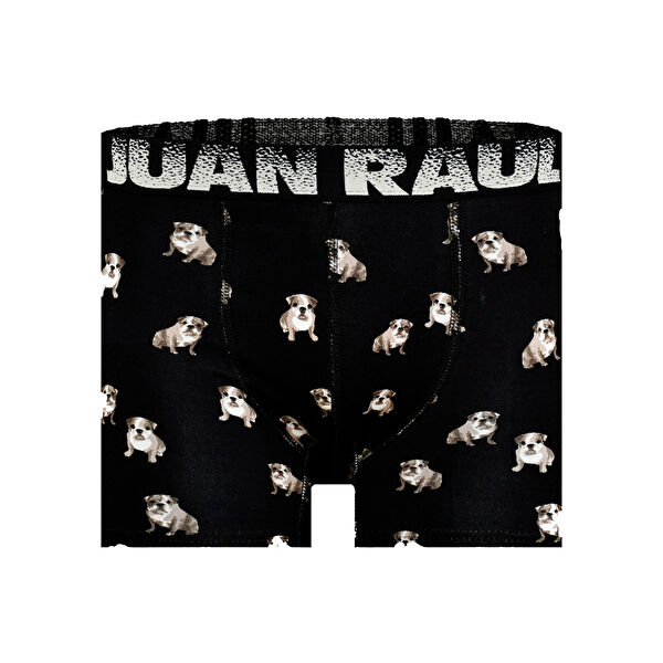 Juan Raul Erkek Boxer, Slip, Külot