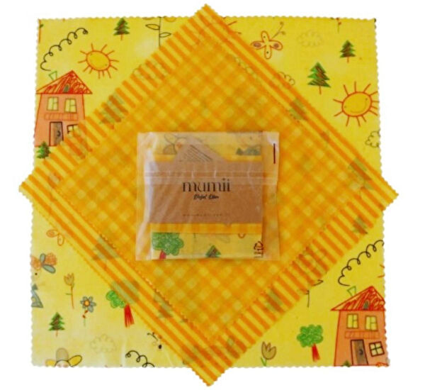 Mumii Saklama Bonesi, Kapağı