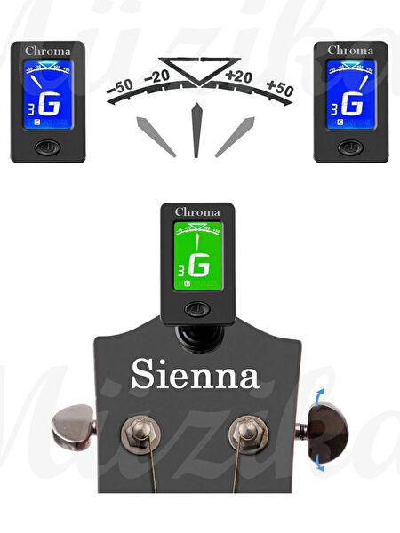 Chroma Turner, Metronom