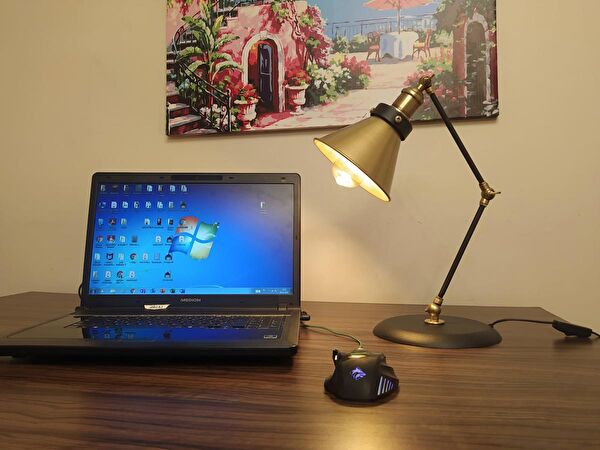 Demet Habek Mylights Okuma Lambası