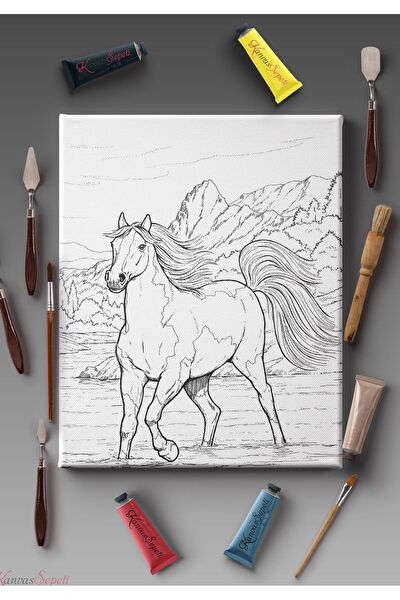 Kanvassepetinet Kanvas Tablo