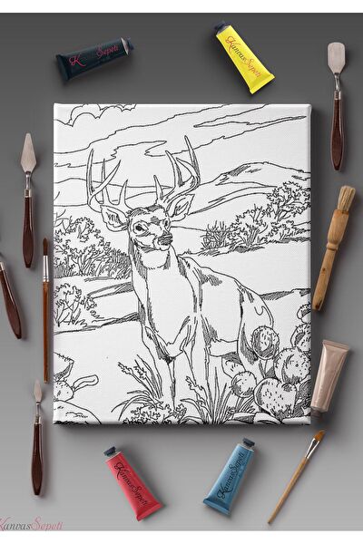 Kanvassepetinet Kanvas Tablo