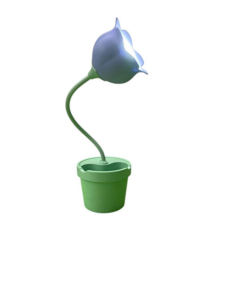 MDZ COLLECTION Masa Lambası