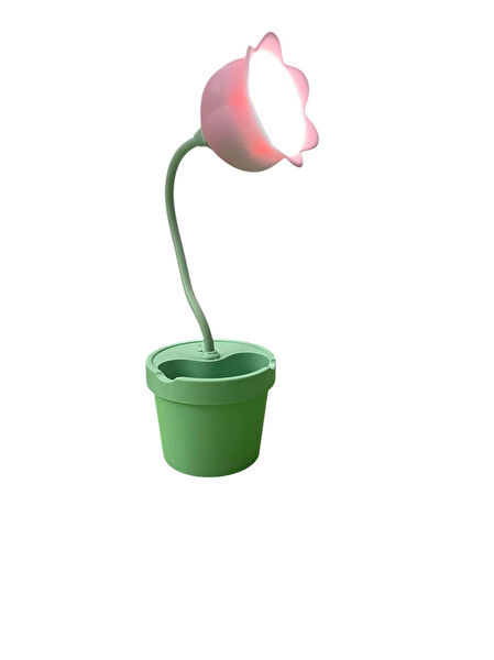 MDZ COLLECTION Masa Lambası