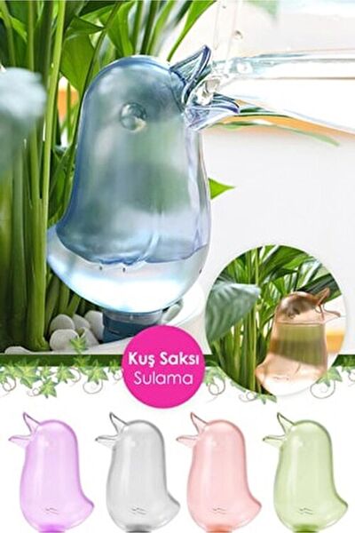 MegaHomeDekor Sulama Kabı