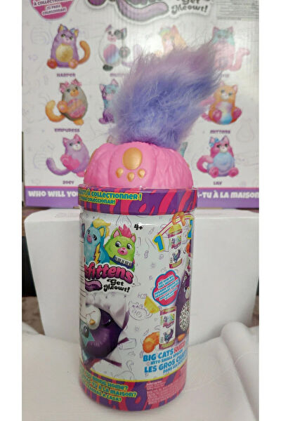 Misfittens Eğitici Oyuncaklar