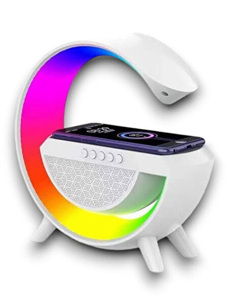 Narnuga Ses Sistemleri, Hoparlörler