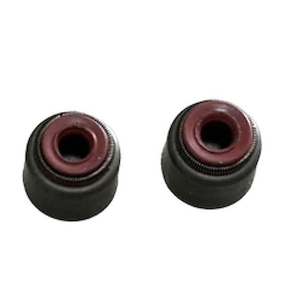 MOTOSPL Motor Keçesi