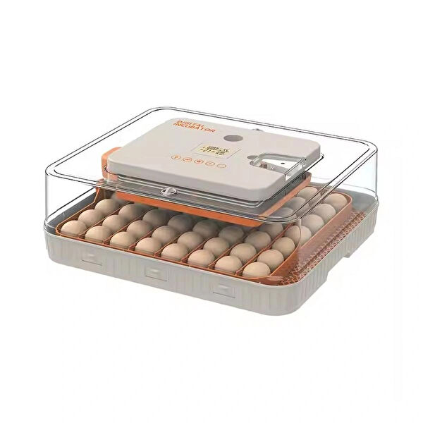 Bahçe Kümes Hayvancılığı