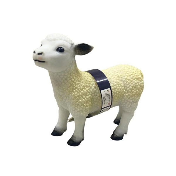 NessiWorld Eğitici Oyuncaklar