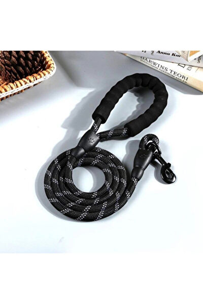 thebestnzm Köpek Tasmaları