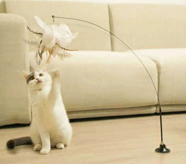 thebestnzm Kedi Oyuncakları