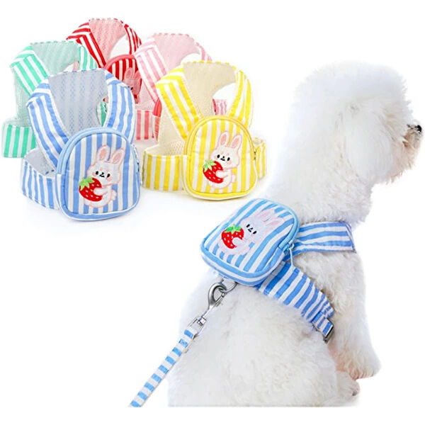 thebestnzm Köpek Tasmaları