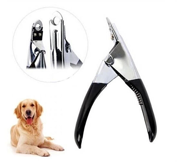 thebestnzm Köpek Sağlık & Bakım Malzemeleri