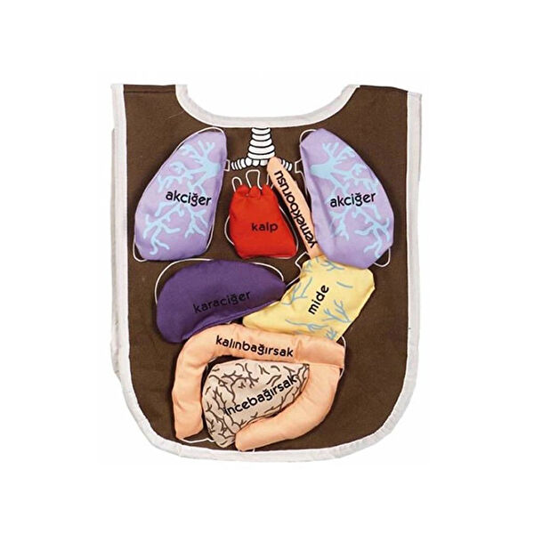 NessiWorld Eğitici Oyuncaklar