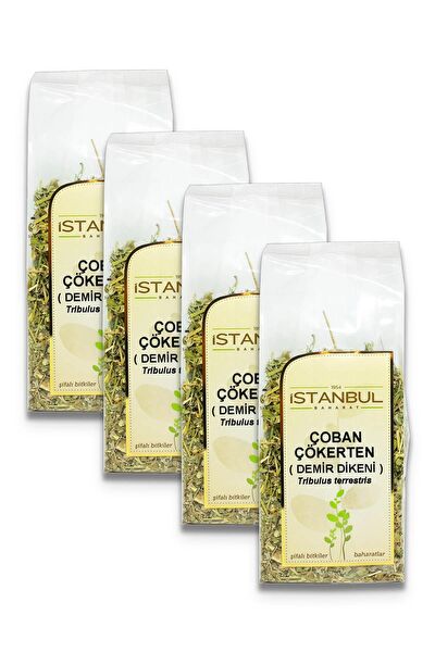 İstanbul Baharat Aktar Ürünleri