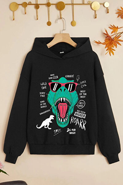 Uygun Tarz Erkek Çocuk Sweatshirt