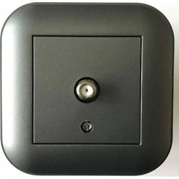 ovivo Fiş, Fiş Dönüştürücü