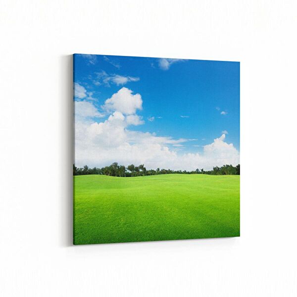 olla.market Kanvas Tablo