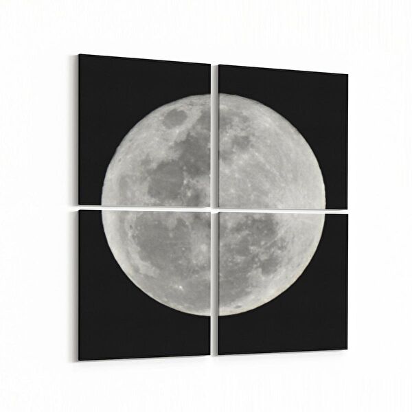 olla.market Kanvas Tablo