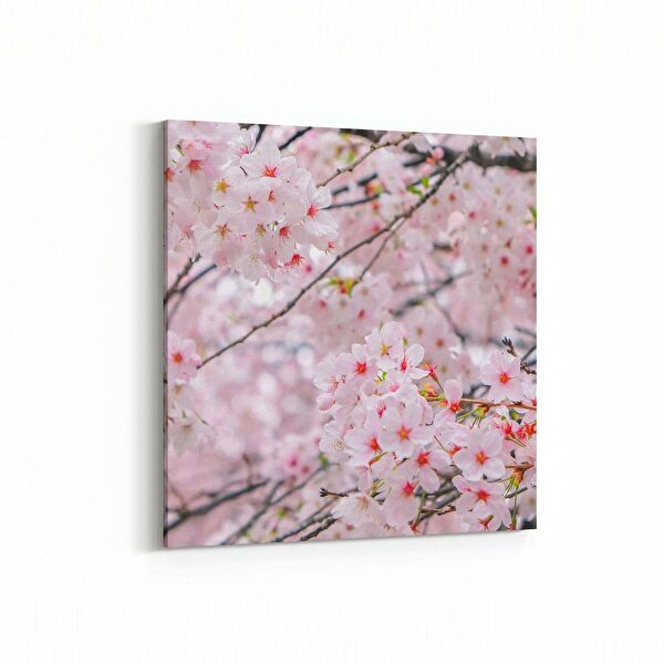 olla.market Kanvas Tablo