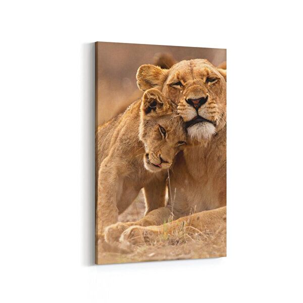 olla.market Kanvas Tablo