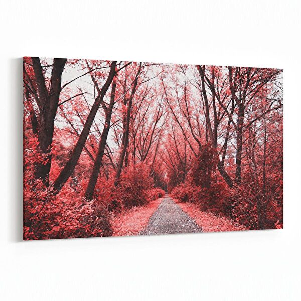 olla.market Kanvas Tablo