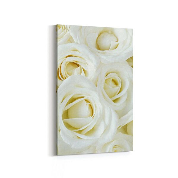 olla.market Kanvas Tablo