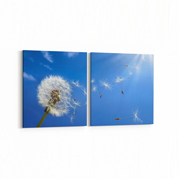 olla.market Kanvas Tablo