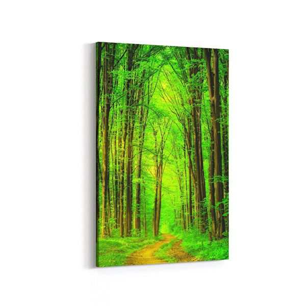 olla.market Kanvas Tablo