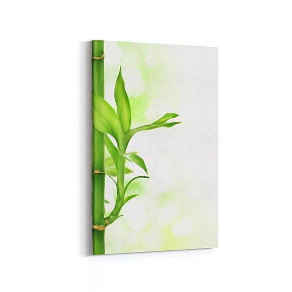 olla.market Kanvas Tablo