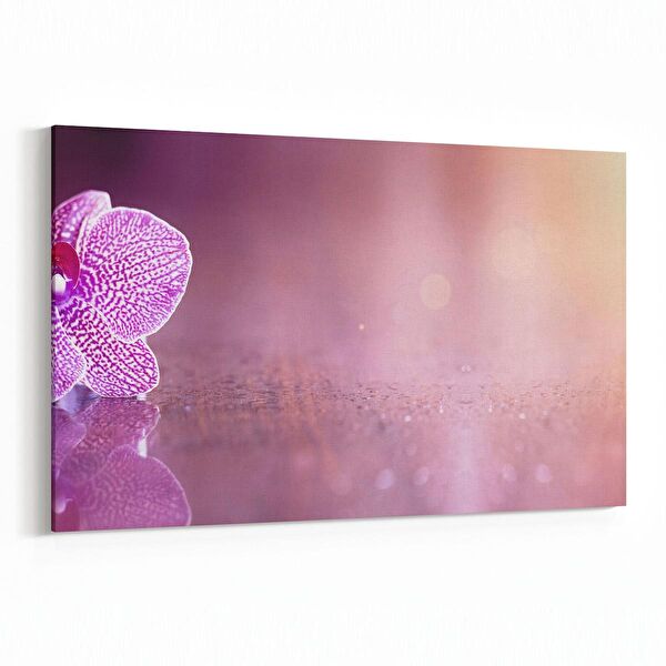 olla.market Kanvas Tablo