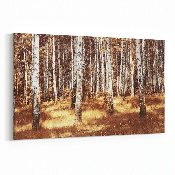 olla.market Kanvas Tablo