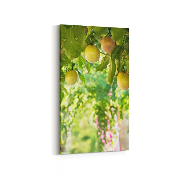 olla.market Kanvas Tablo