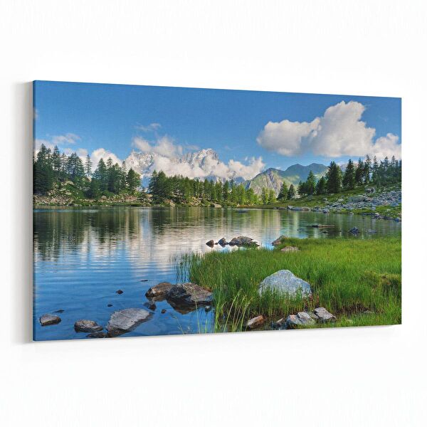 olla.market Kanvas Tablo