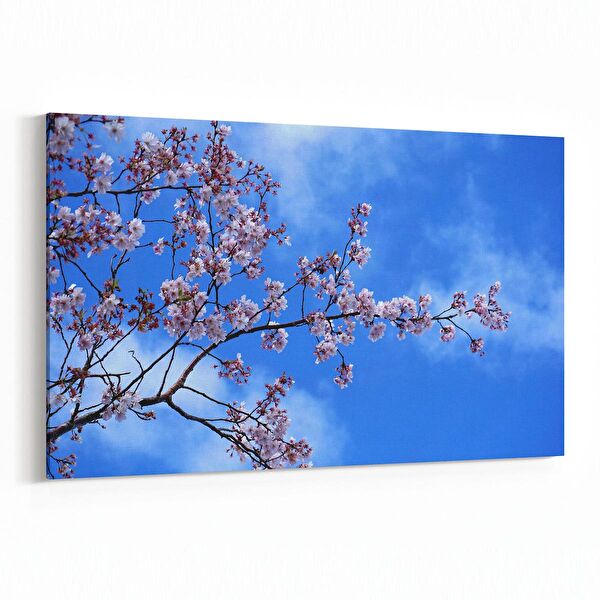 olla.market Kanvas Tablo