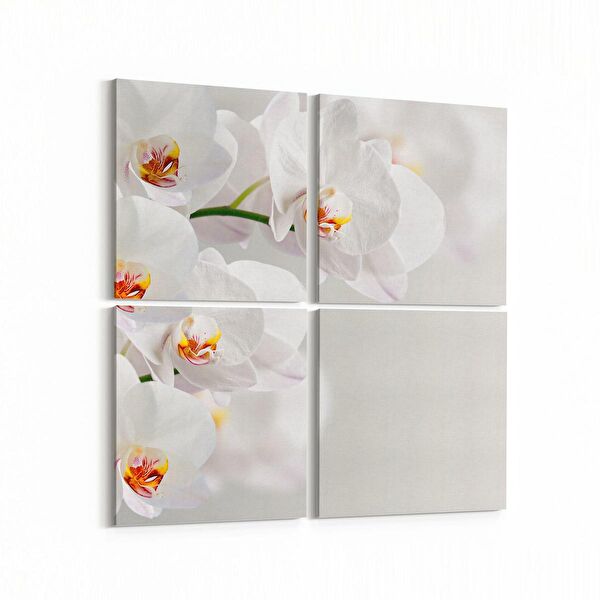 olla.market Kanvas Tablo