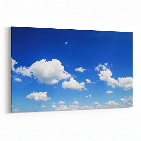 olla.market Kanvas Tablo