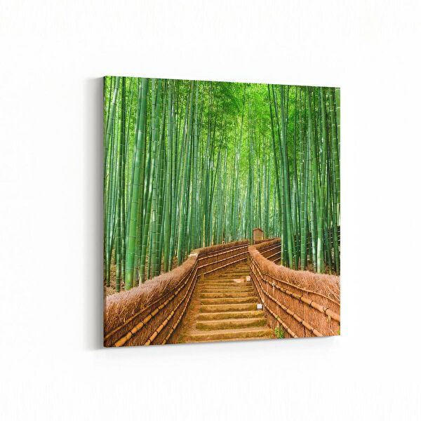 olla.market Kanvas Tablo