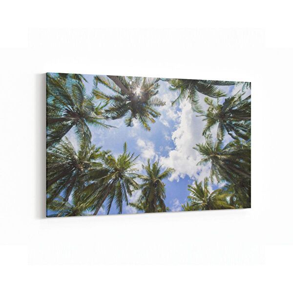 olla.market Kanvas Tablo